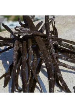 Devotion -Parfum Soldes Boutique devotion eau de parfum dolce gabbana 50 ml 5