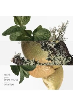 Hermès Eau D'orange Verte -Parfum Soldes Boutique eau d orange verte eau de cologne hermes 100 ml 2