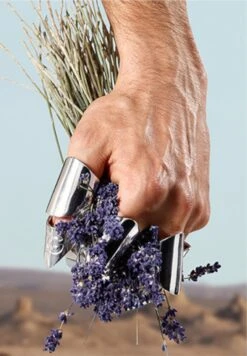 Dolce & Gabbana K By Dolce&Gabbana -Parfum Soldes Boutique k by dolce gabbana eau de toilette dolce gabbana 2 1