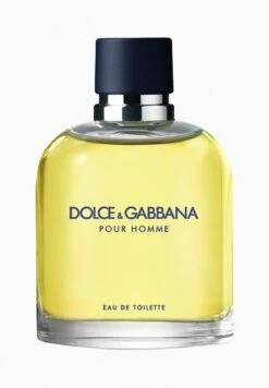 Dolce & Gabbana Pour Homme -Parfum Soldes Boutique pour homme eau de toilette dolce gabbana 125 ml 0
