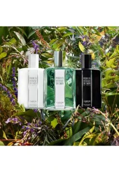 POUR UN HOMME DE CARON -Parfum Soldes Boutique pour un homme de caron eau de toilette caron 125 ml 5 2