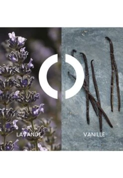 POUR UN HOMME DE CARON -Parfum Soldes Boutique pour un homme de caron eau de toilette caron 200 ml 3 4