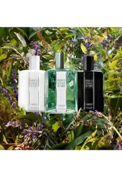 POUR UN HOMME DE CARON -Parfum Soldes Boutique pour un homme de caron eau de toilette caron 500 ml 5 1