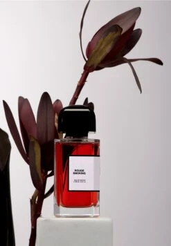 Rouge Smoking -Parfum Soldes Boutique rouge smoking eau de parfum bdk parfums 100 ml 4