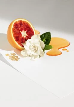 Jean Paul Gaultier Scandal 5 Jean Paul Gaultier Scandal -Parfum Soldes Boutique scandal gel douche jean paul gaultier 200 ml 2