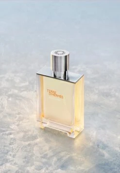 Terre D'Hermès Eau Givrée -Parfum Soldes Boutique terre d hermes eau givree eau de parfum hermes 100 ml 2