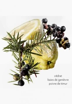 Terre D'Hermès Eau Givrée -Parfum Soldes Boutique terre d hermes eau givree eau de parfum hermes 50 ml 3 1