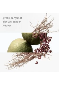 Terre D'Hermès Eau Intense Vétiver -Parfum Soldes Boutique terre d hermes eau intense vetiver eau de parfum hermes 100 ml 1