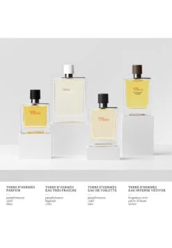 Terre D'Hermès Eau Intense Vétiver -Parfum Soldes Boutique terre d hermes eau intense vetiver eau de parfum hermes 100 ml 3
