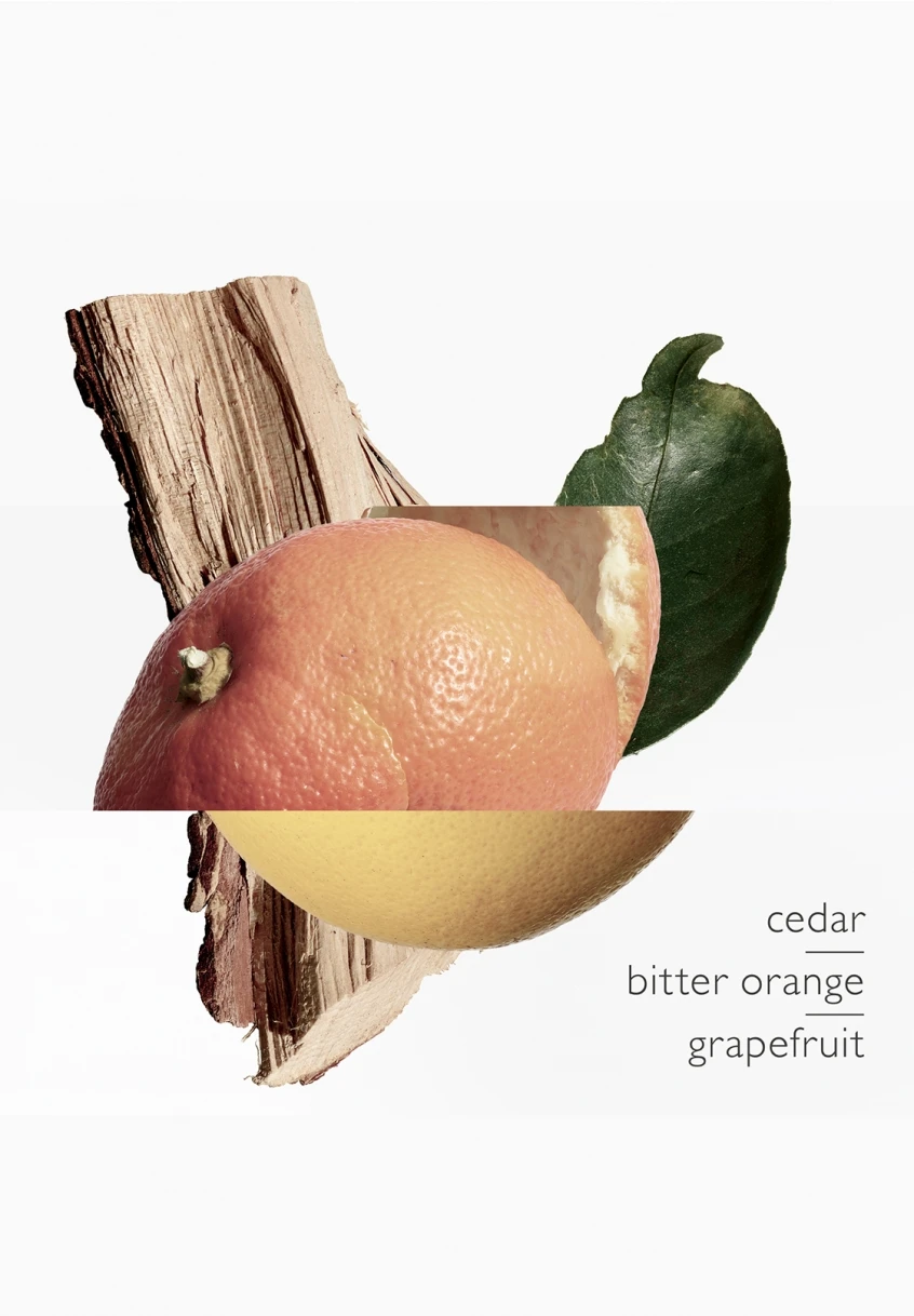 Terre D'Hermès Eau Très Fraîche 10 Terre D'Hermès Eau Très Fraîche – Image 8