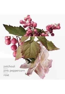 Twilly D'Hermès Eau Poivrée 25 Twilly D'Hermès Eau Poivrée -Parfum Soldes Boutique twilly d hermes eau poivree eau de parfum hermes 50 ml 3