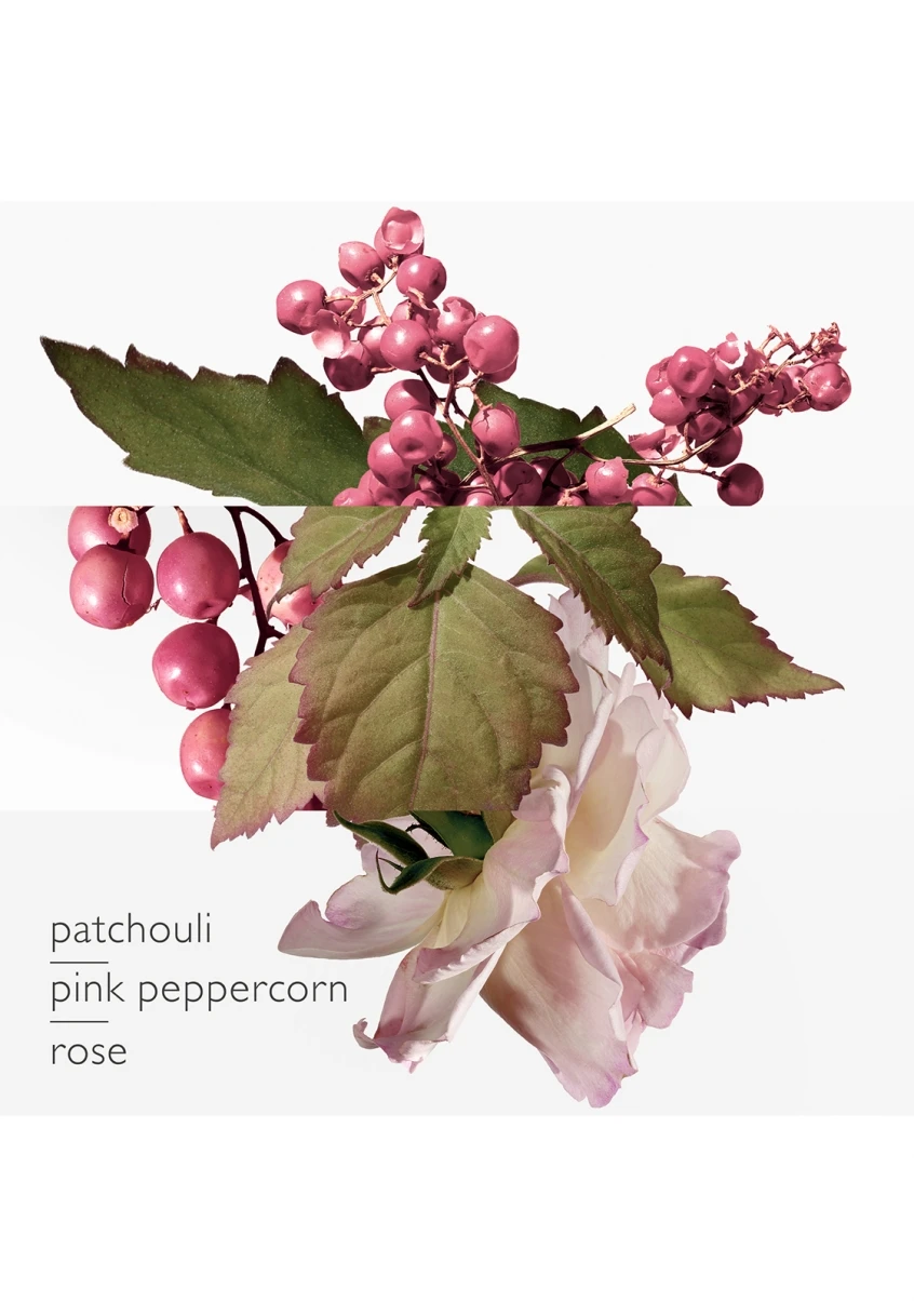 Twilly D'Hermès Eau Poivrée 11 Twilly D'Hermès Eau Poivrée – Image 9