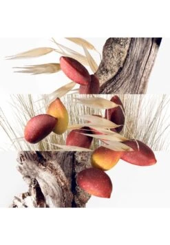 Hermès Un Jardin à Cythère -Parfum Soldes Boutique un jardin a cythere eau de toilette hermes 50 ml 2