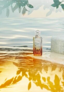 Hermès Un Jardin Sur La Lagune 11 Hermès Un Jardin Sur La Lagune -Parfum Soldes Boutique un jardin sur la lagune eau de toilette herme 50 ml 1