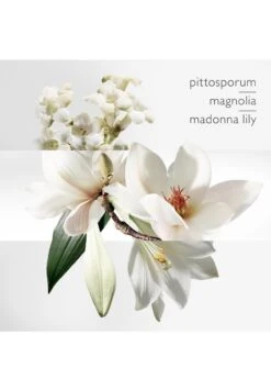 Hermès Un Jardin Sur La Lagune 12 Hermès Un Jardin Sur La Lagune -Parfum Soldes Boutique un jardin sur la lagune eau de toilette herme 50 ml 2