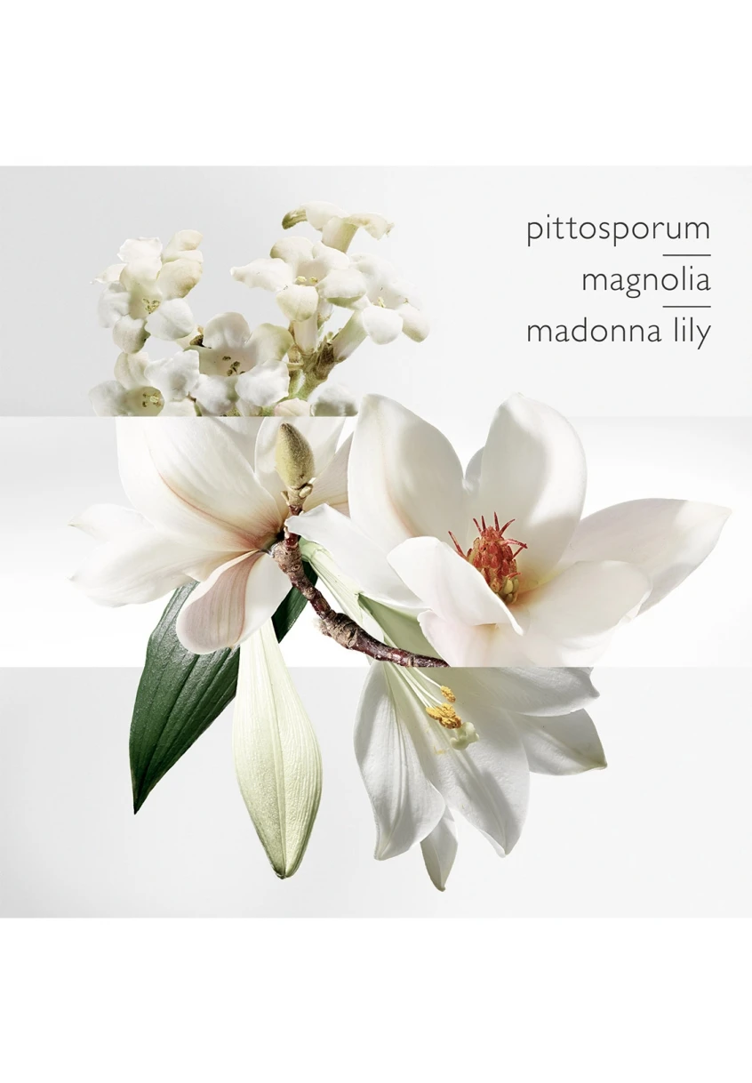 Hermès Un Jardin Sur La Lagune 5 Hermès Un Jardin Sur La Lagune – Image 3