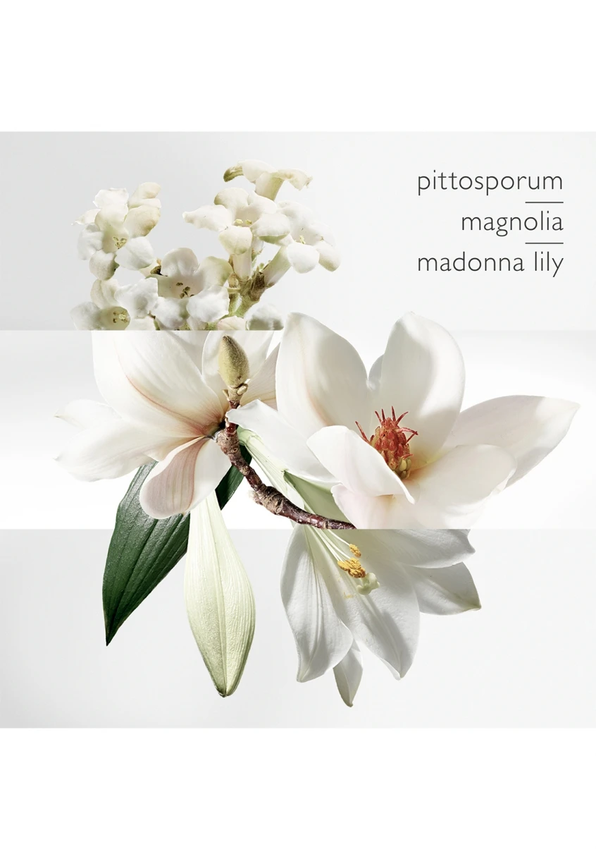 Hermès Un Jardin Sur La Lagune 9 Hermès Un Jardin Sur La Lagune – Image 7