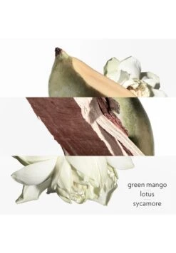 Hermès Un Jardin Sur Le Nil -Parfum Soldes Boutique un jardin sur le nil eau de toilette hermes 50 ml 2