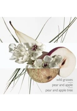 Hermès Un Jardin Sur Le Toit -Parfum Soldes Boutique un jardin sur le toit eau de toilette hermes 100 ml 2