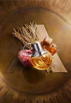 Azzaro Wanted Girl -Parfum Soldes Boutique wanted girl eau de parfum azzaro 50 ml 2